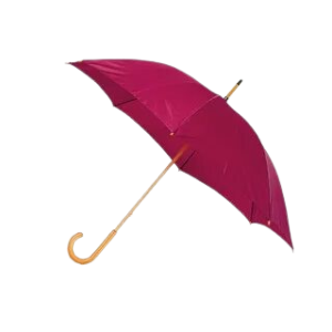 PARAPLUIE